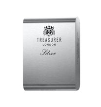 Load image into Gallery viewer, Treasurer London Aluminium Silver
